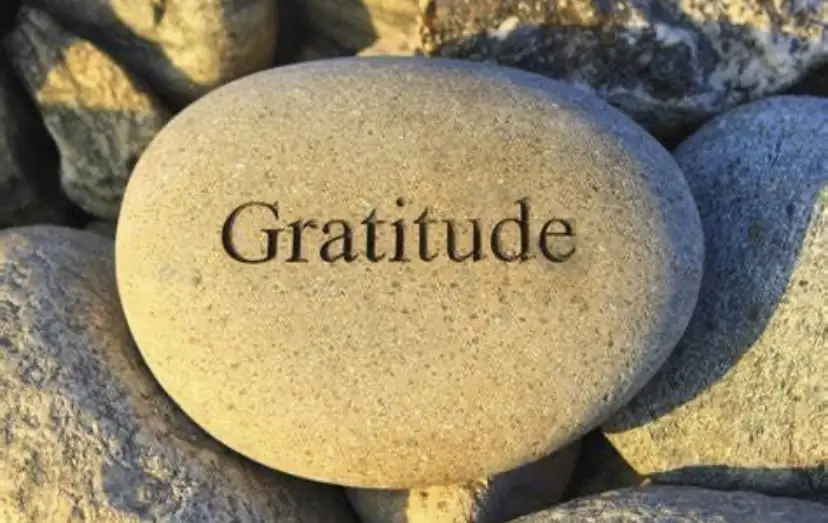 gratitude