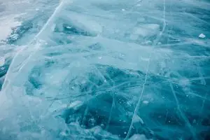 functioning freeze trauma