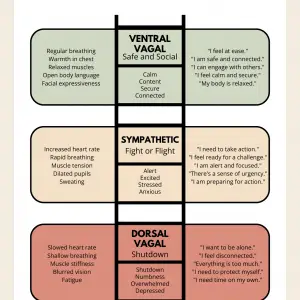 Polyvagal Nervous System Toolkit (Workbook + Vagus Nerve Flashcards)